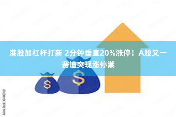 港股加杠杆打新 2分钟垂直20%涨停！A股又一赛道突现涨停潮