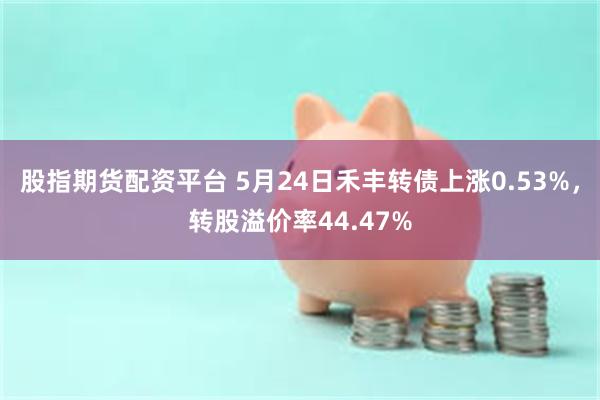 股指期货配资平台 5月24日禾丰转债上涨0.53%，转股溢价率44.47%