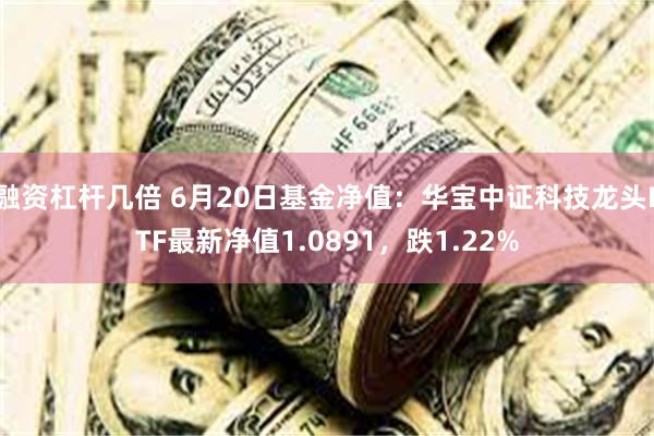 融资杠杆几倍 6月20日基金净值：华宝中证科技龙头ETF最新净值1.0891，跌1.22%