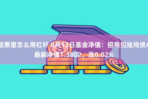 股票里怎么用杠杆 8月13日基金净值：招商招旭纯债A最新净值1.3802，涨0.02%