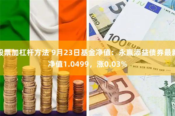 股票加杠杆方法 9月23日基金净值：永赢添益债券最新净值1.0499，涨0.03%