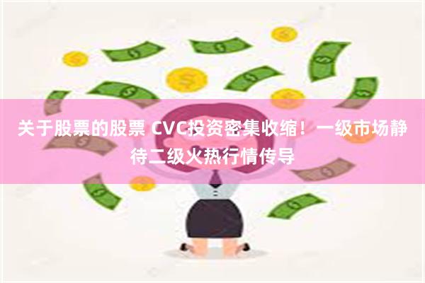 关于股票的股票 CVC投资密集收缩！一级市场静待二级火热行情传导