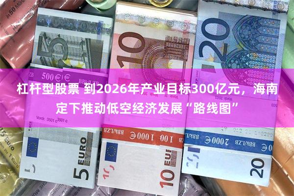 杠杆型股票 到2026年产业目标300亿元，海南定下推动低空经济发展“路线图”