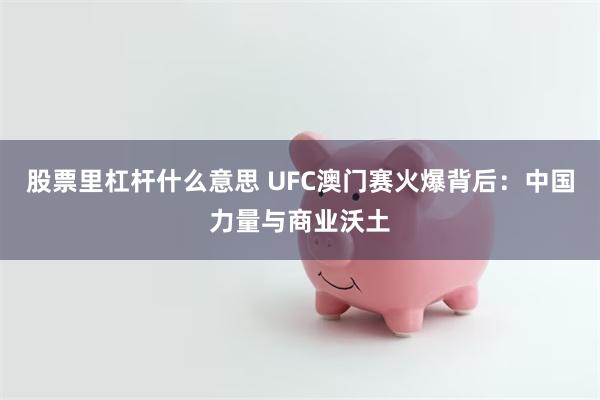 股票里杠杆什么意思 UFC澳门赛火爆背后：中国力量与商业沃土