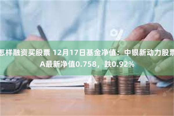 怎样融资买股票 12月17日基金净值：中银新动力股票A最新净值0.758，跌0.92%