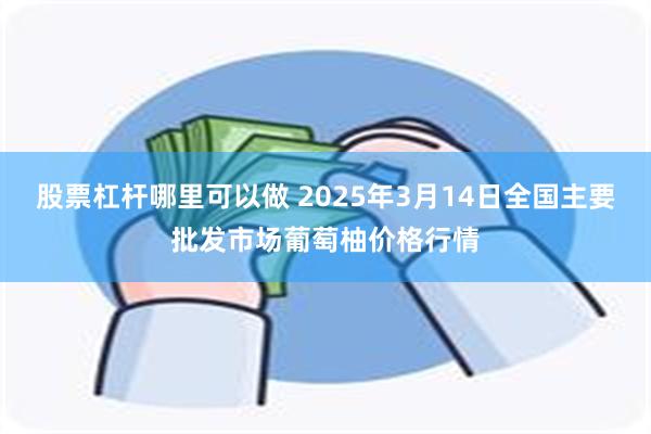 股票杠杆哪里可以做 2025年3月14日全国主要批发市场葡萄柚价格行情