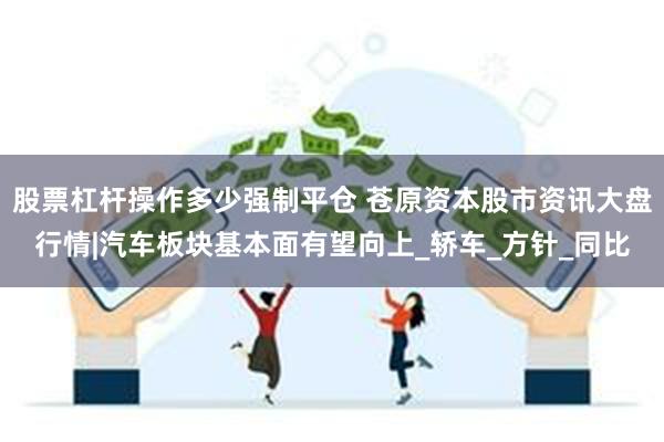 股票杠杆操作多少强制平仓 苍原资本股市资讯大盘行情|汽车板块基本面有望向上_轿车_方针_同比